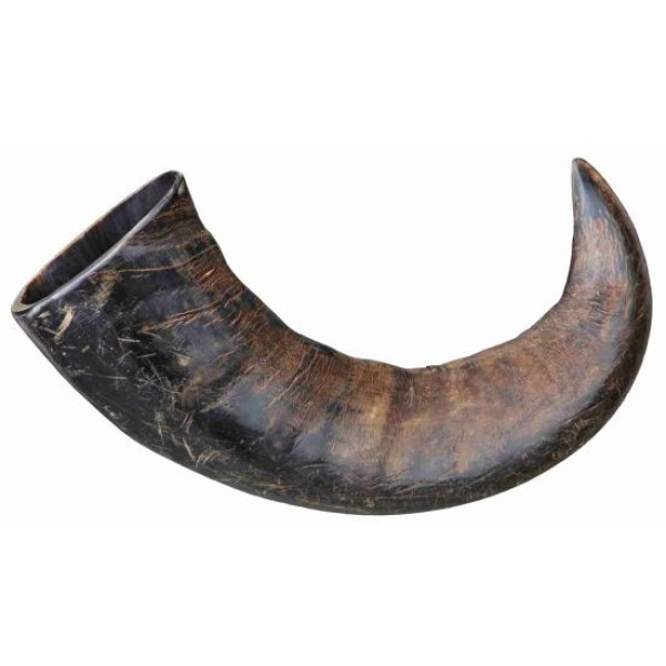 VERITABLE CORNE DE BUFFLE MACHER