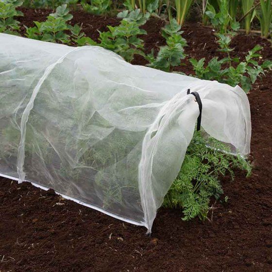 TUNNEL ACCORDEON ANTI INSECTES 0.4X0.5X3.1M