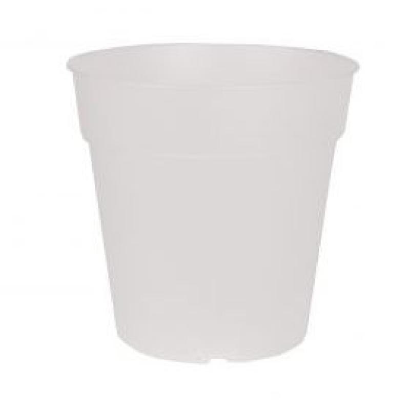 POT ORCHIDEE TO GROW MADAGASCAR 11CM