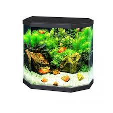AQUARIUM 30 LED NOIR EUR