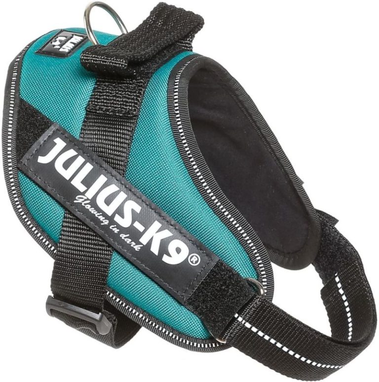 HARNAIS POWER 40-53CM 22MM BLEU