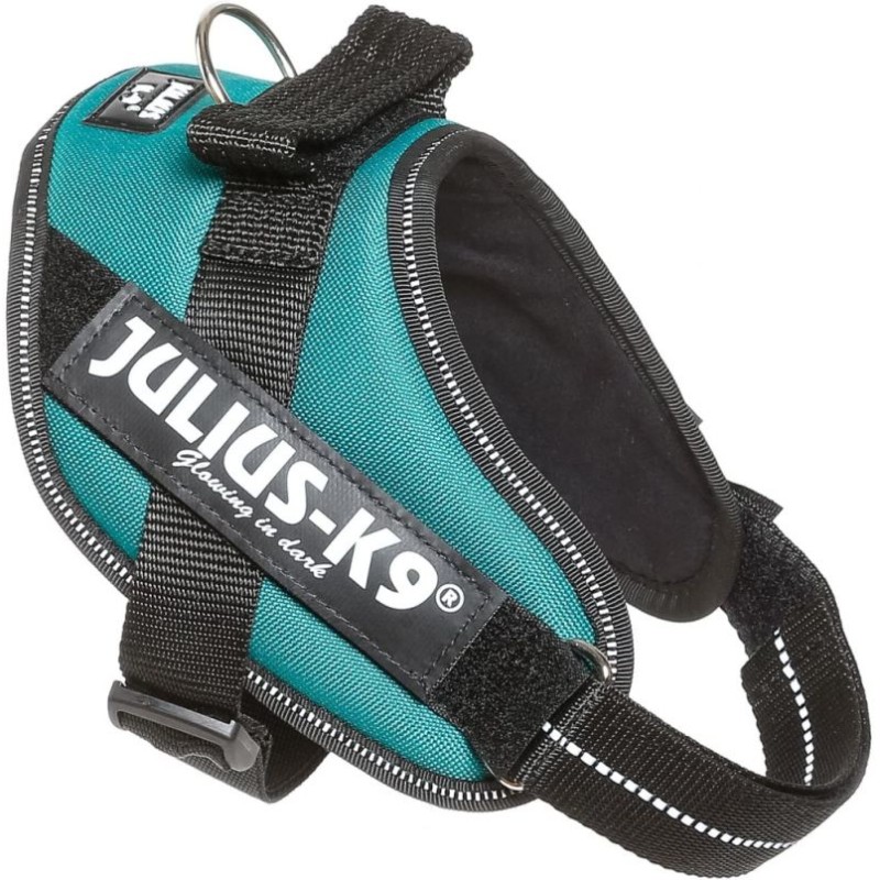 HARNAIS POWER 40-53CM 22MM BLEU