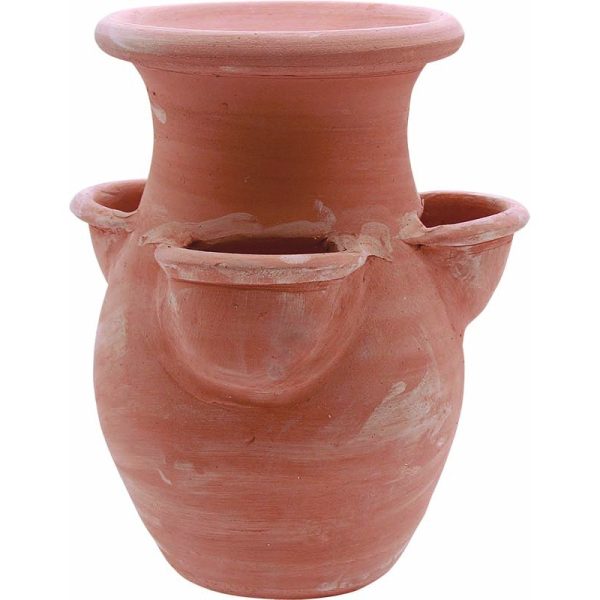 FRAISIER UMBRIA TERRE CUITE 40CM