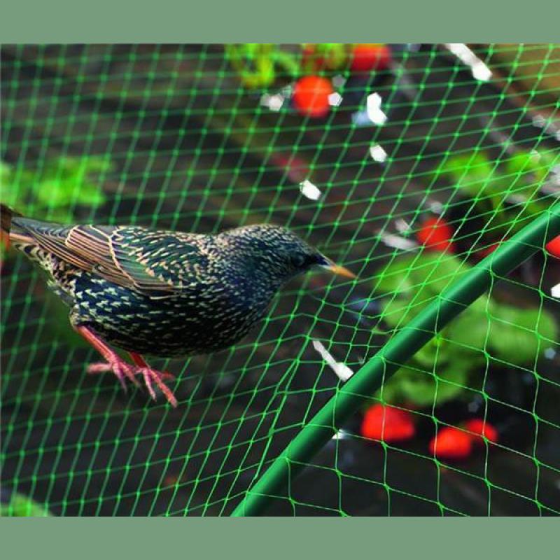 FILET OISEAUX VERT PE 5X10M