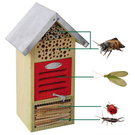 HOTEL INSECTES