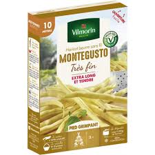 HARICOT MONTE GUSTO VL 10M