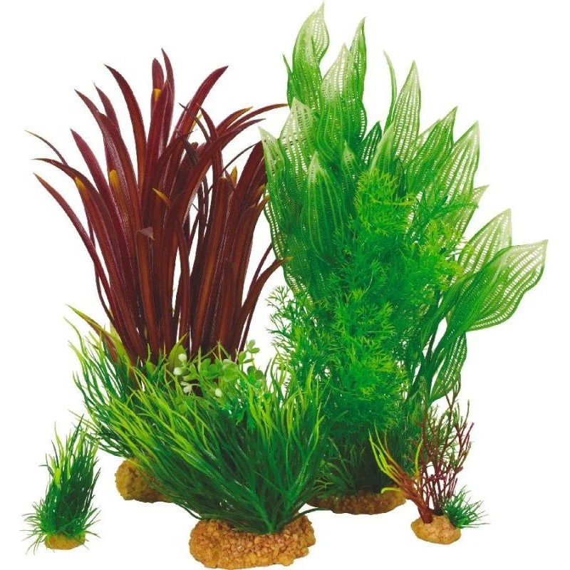 PLANTKIT LARGE N 2