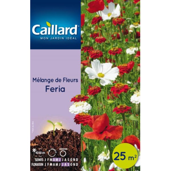 MELANGE DE FLEURS FERIA BTE 25M2