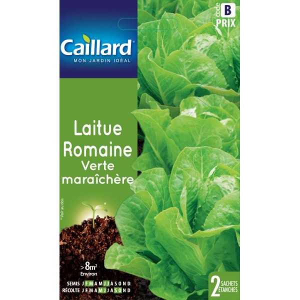 LAITUE ROMAINE VERTE MARAICHERE