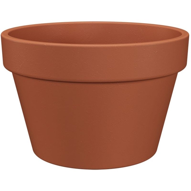 COUPE AMALIA 21CM NATUREL
