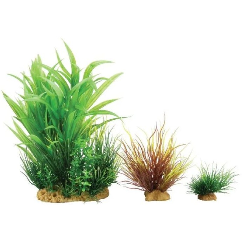 PLANTKIT SMALL N2