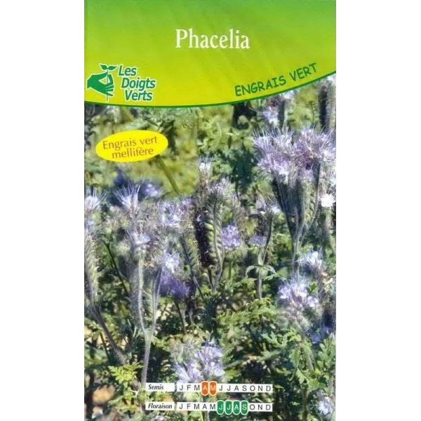PHACELIE STALA