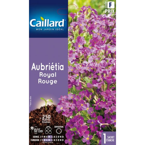 AUBRIETIA ROYAL ROUGE