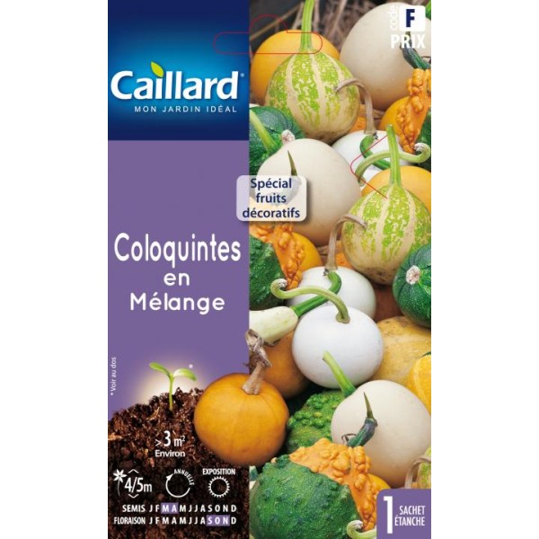 COLOQUINTES EN MELANGE