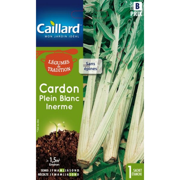 CARDON PLEIN BLANC INERME