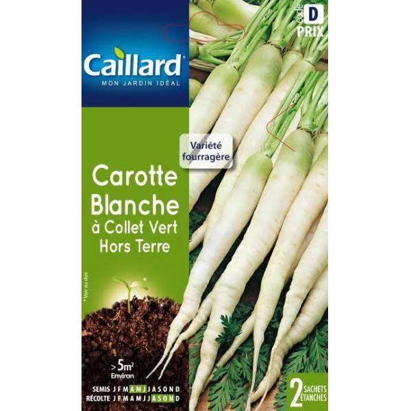 CAROTTE BLANCHE A COLLET VERT