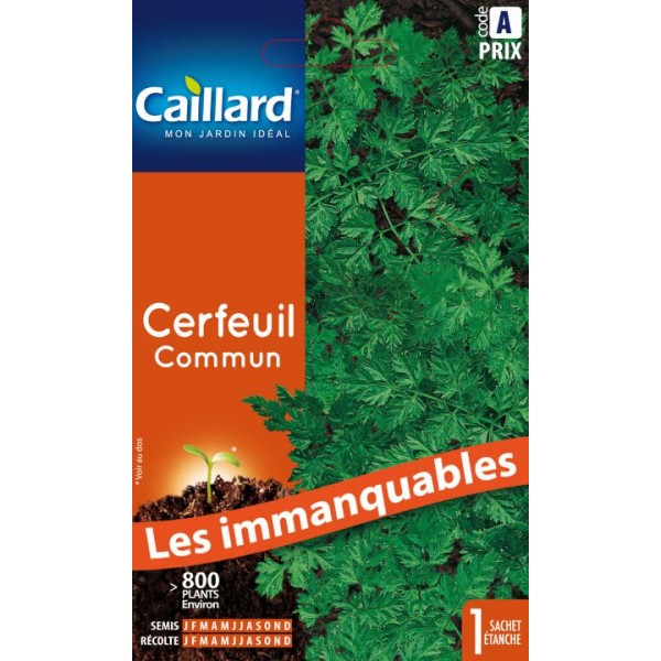 CERFEUIL COMMUN