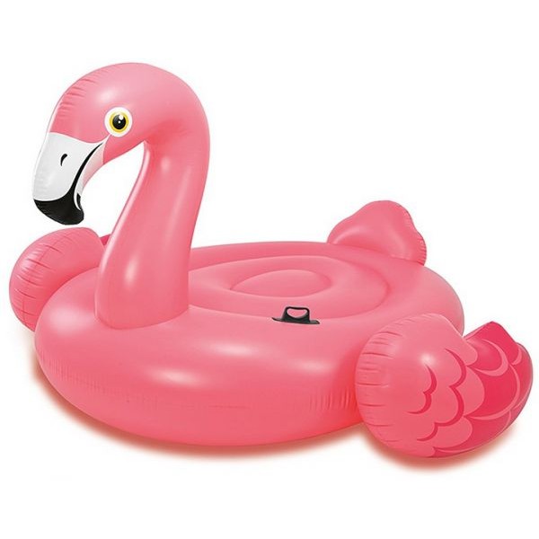 FLAMANT ROSE A CHEVAUCHER