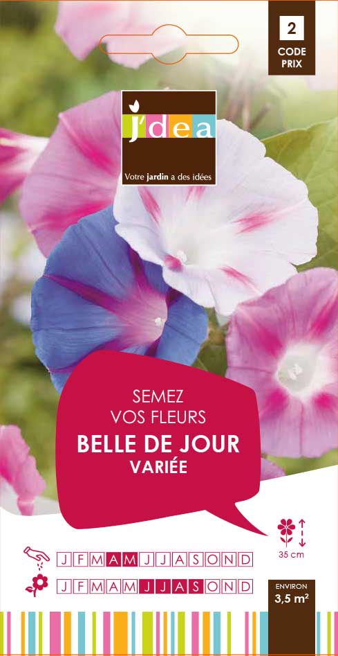 BELLE DE JOUR VARIEE