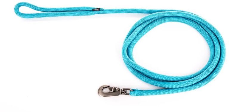 LAISSE ROND 2M TURQUOISE NYLON