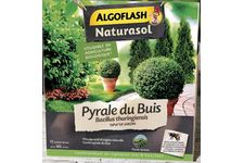 PYRALE DU BUIS 30G