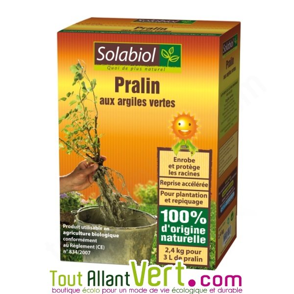 PRALIN AUX ARGILES VERTES ETUI 2,4KG