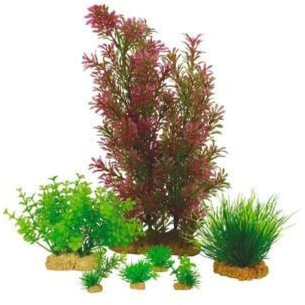 PLANTKIT MEDIUM N1