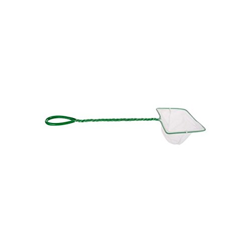 EPUISETTE BLANCHE 12CM