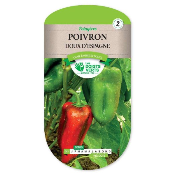 POIVRON DOUX D ESPAGNE