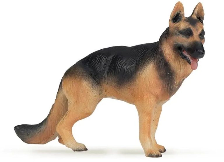 BERGER ALLEMAND