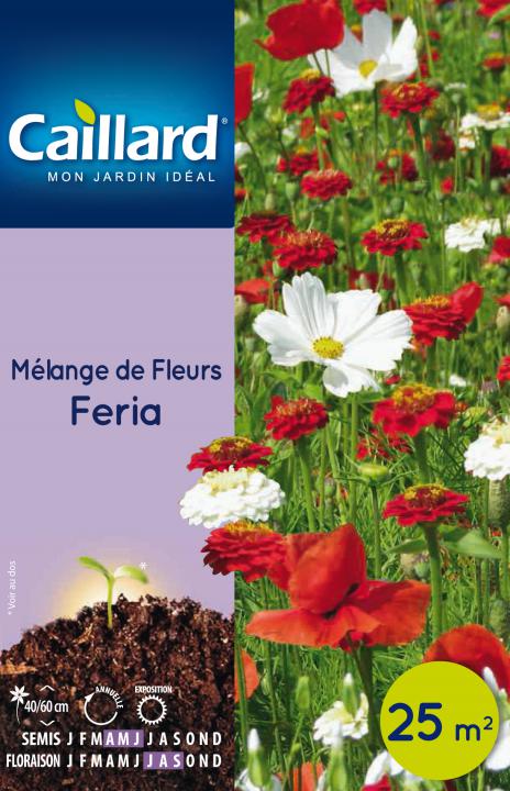 MELANGE DE FLEURS FERIA BTE 25M2