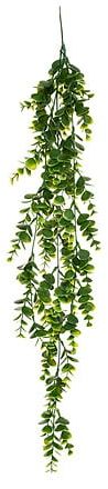 PLANTE TOMBANTE ALWY H75