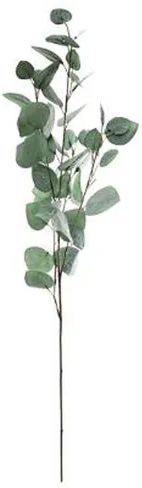 TIGE EUCALYPTUS BLEU H92