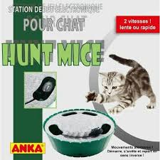 STATION DE JEU CHAT HUNT MICE