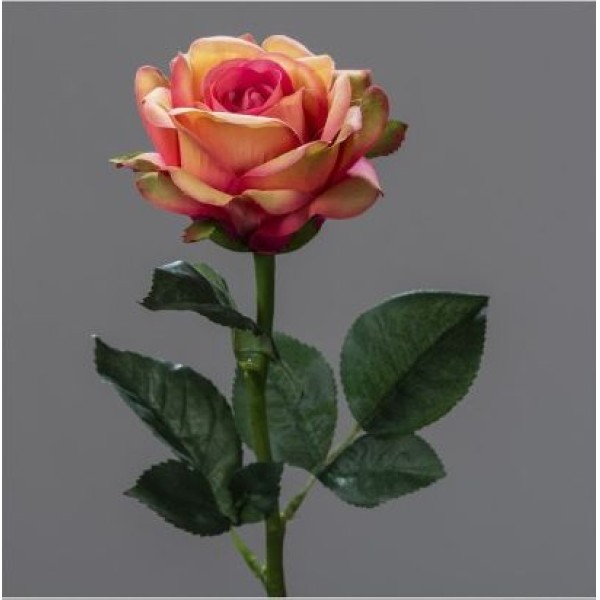 TIGE DE ROSE OUVERTE H 51 CM ORANGE ROSE
