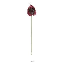 TIGE ANTHURIUM H66CM ROUGE