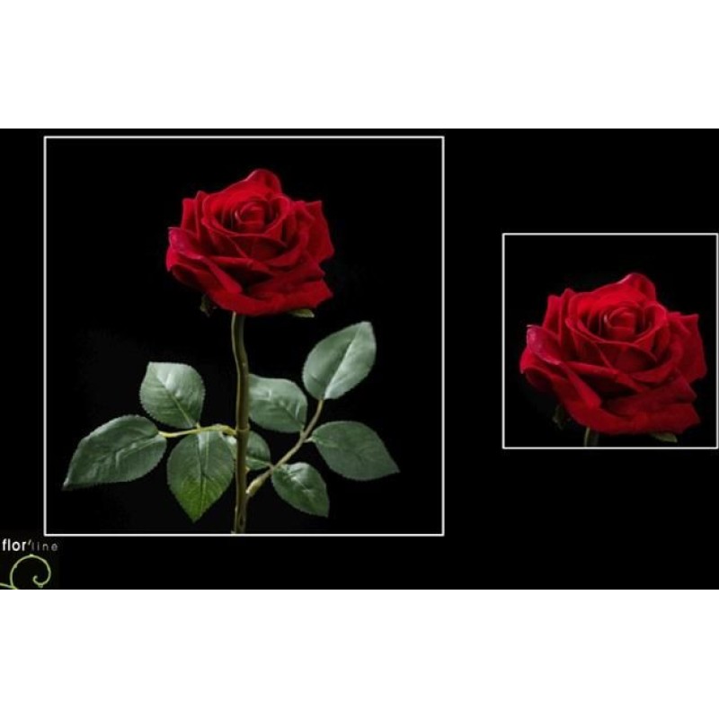 TIGE DE ROSE OUVERTE VELOURS ROUGE H60CM