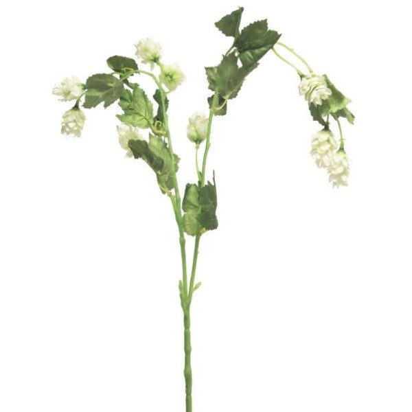 TIGE DE HOUBLON CREME H78CM