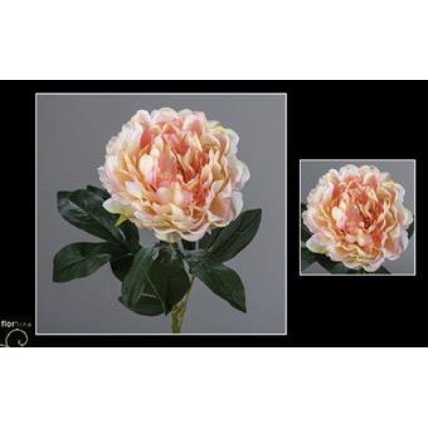TIGE DE PIVOINE 76CM ROSE