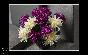 CHRYSANTHEME 32X30X
