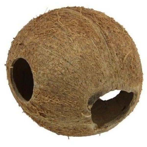 COCOS CAVA 1/1 M