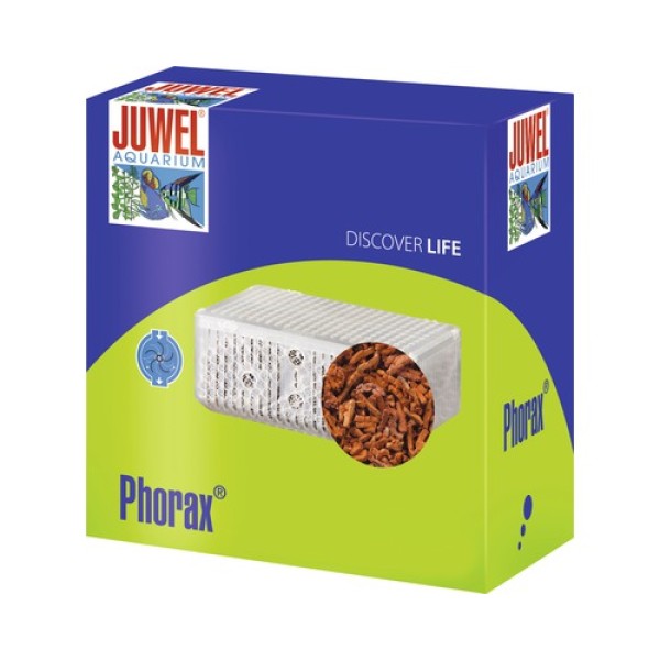 CARTOUCHE PHORAX STANDARD