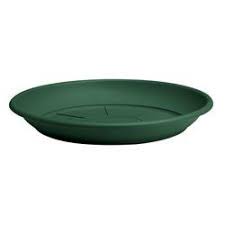 SOUCOUPE PETRA 54CM VERT