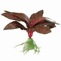 BLU 9075 - PLANTE EN SOIE