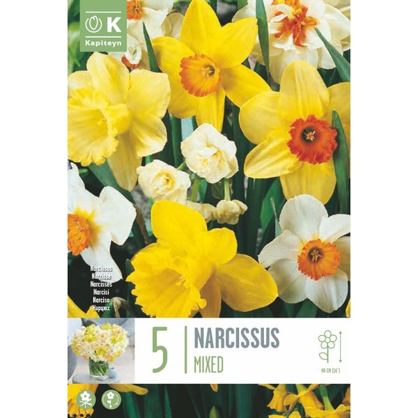 NARCISSE MELANGE X5 CAL 14/16