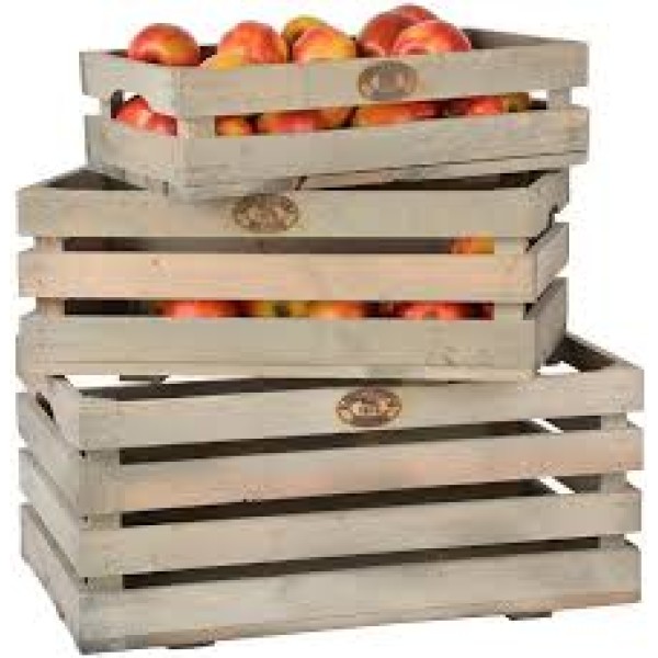 CAGEOT A FRUITS GRAND 59X39X25