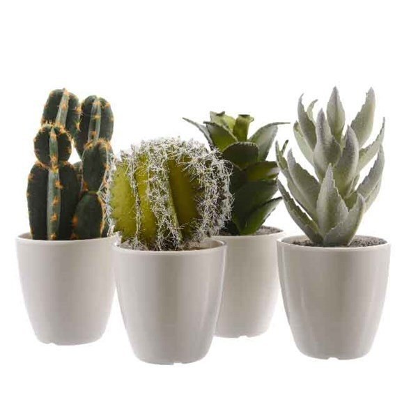 PLANTE GRASSE PLASTIQUE D/POT PLASTIQUE D9X17