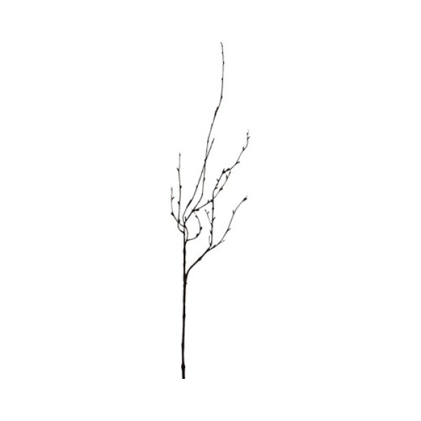 BRANCHE MARRON 165CM