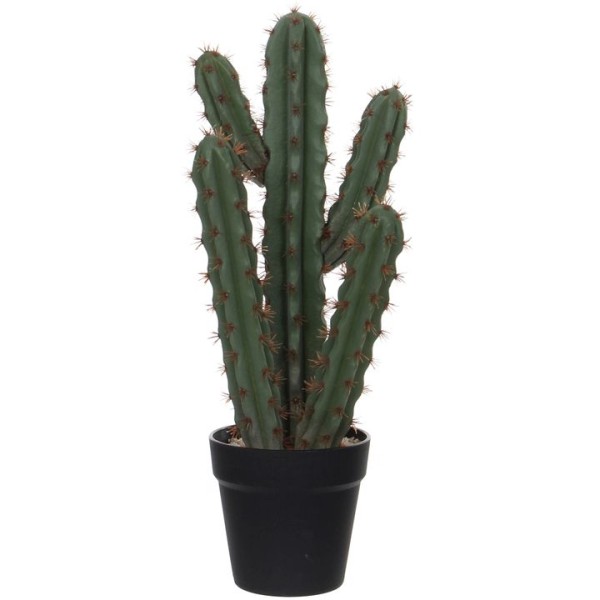 CACTUS POT PLASTIQUE VERT L20 B14 H50CM