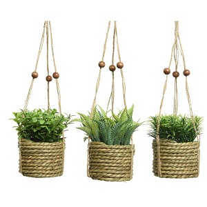 PLANTE DANS PANIER SUSPENDU D8 H12CM